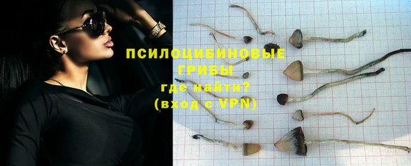 ГАЛЛЮЦИНОГЕННЫЕ ГРИБЫ Заводоуковск