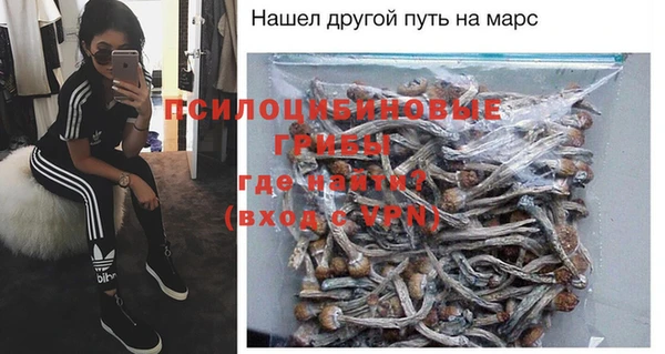 ГАЛЛЮЦИНОГЕННЫЕ ГРИБЫ Заводоуковск