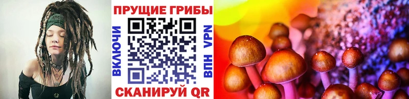 Псилоцибиновые грибы MAGIC MUSHROOMS  Купить  Инта 